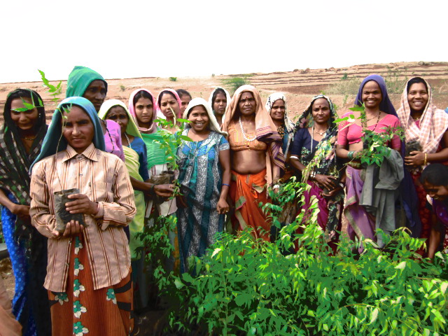 Environmental Conservation